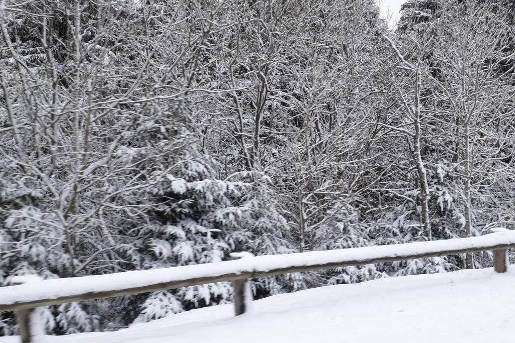 Apartment Au Pied Des Pistes A Hohneck *