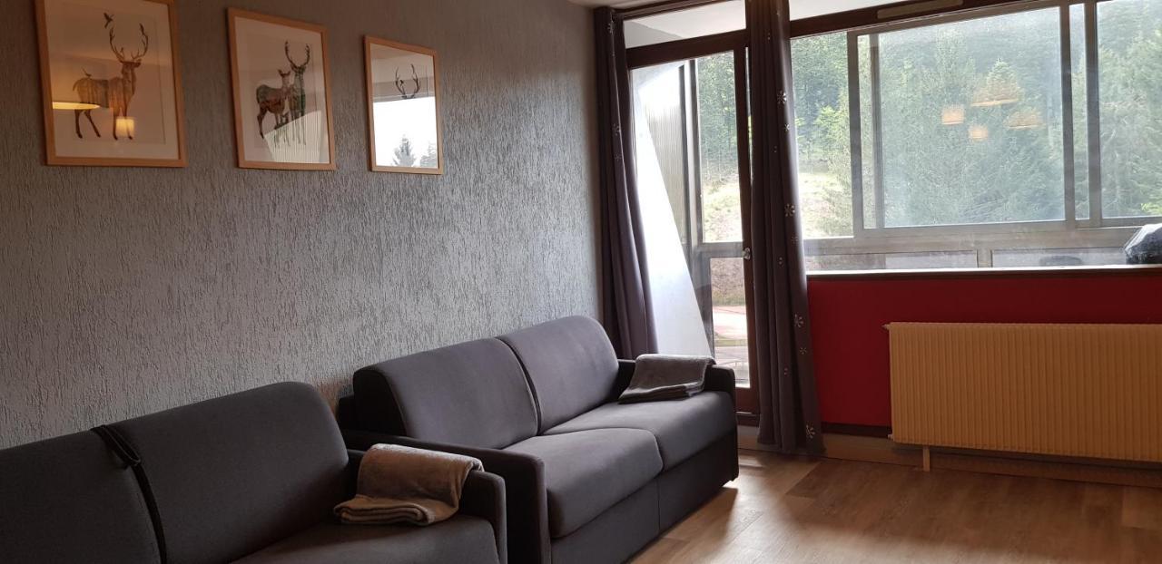 Apartment Au Pied Des Pistes A Hohneck La Bresse